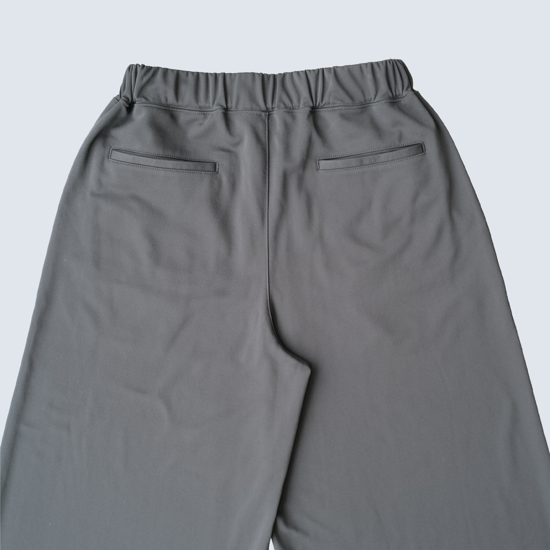 BACKPILE WIDE PANTS