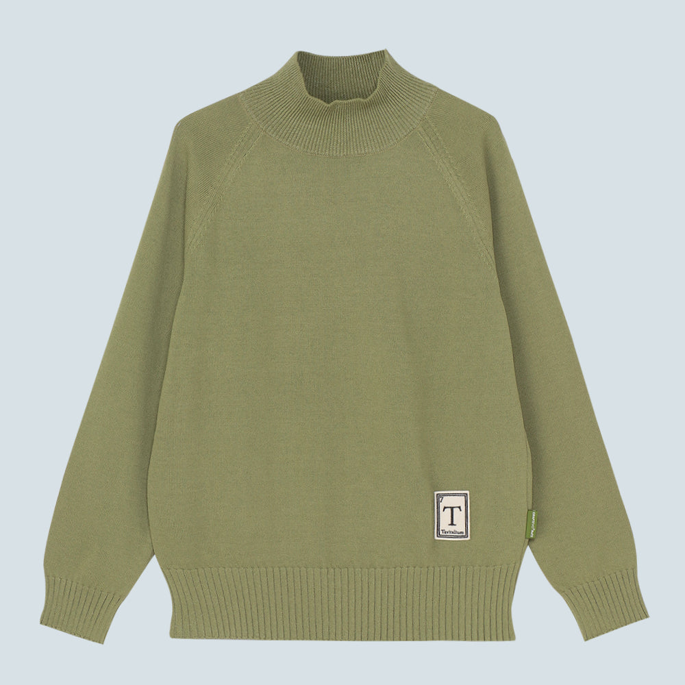 Women's Washable High Neck Sweater