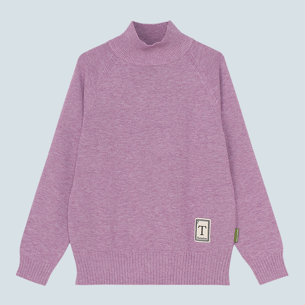 Women's Washable High Neck Sweater