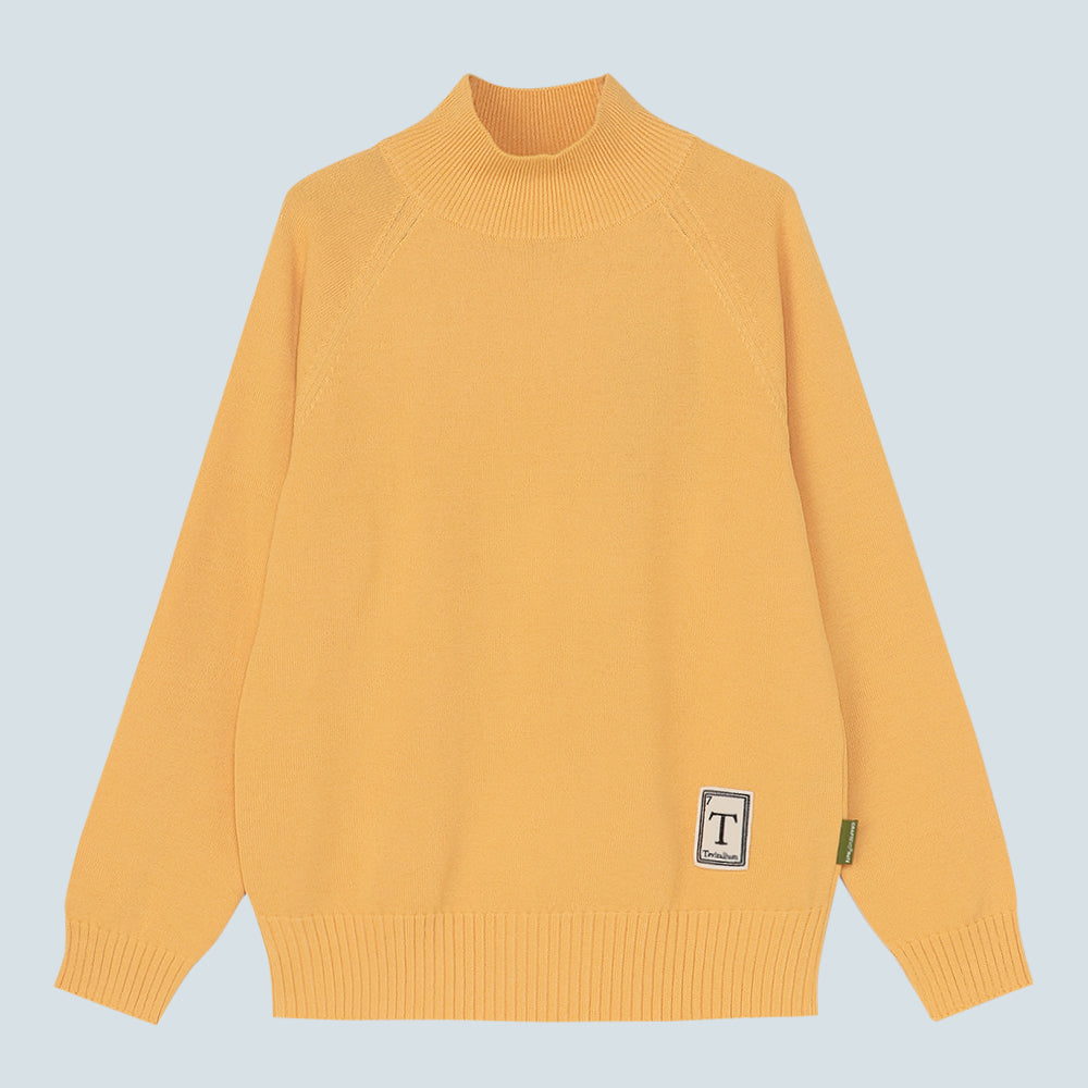 Women's Washable High Neck Sweater