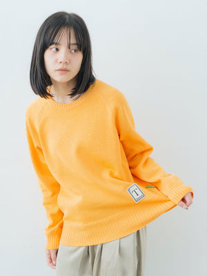 Women's Washable Crewneck Sweater