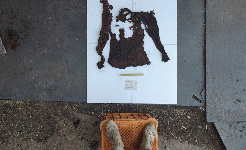 Tavitalium SWEATSHIRT が土に還るまで