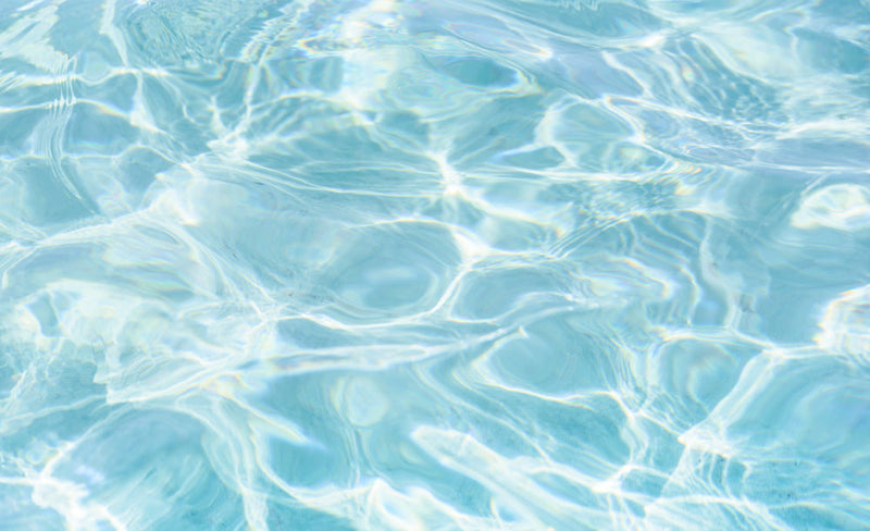 Tavitalium Online Store 夏季休業のご案内