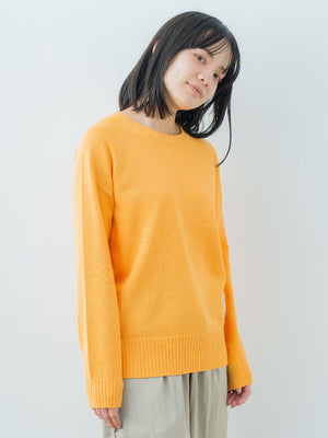 Women's Washable Crewneck Sweater